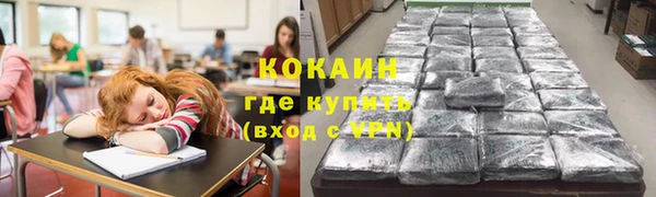 прущие грибы Вязьма