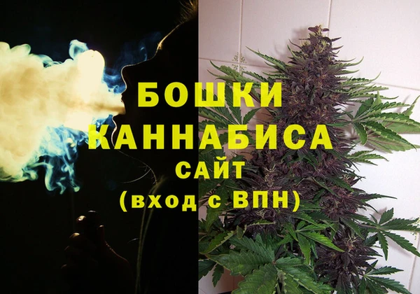 прущие грибы Вязьма