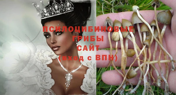 СК Нягань
