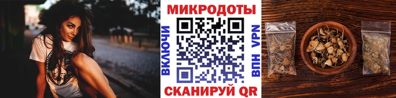 Галлюциногенные грибы Cubensis  где купить наркотик  Кузнецк 